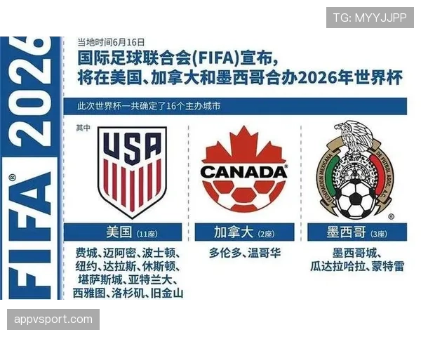 2026世界杯排名流程解析