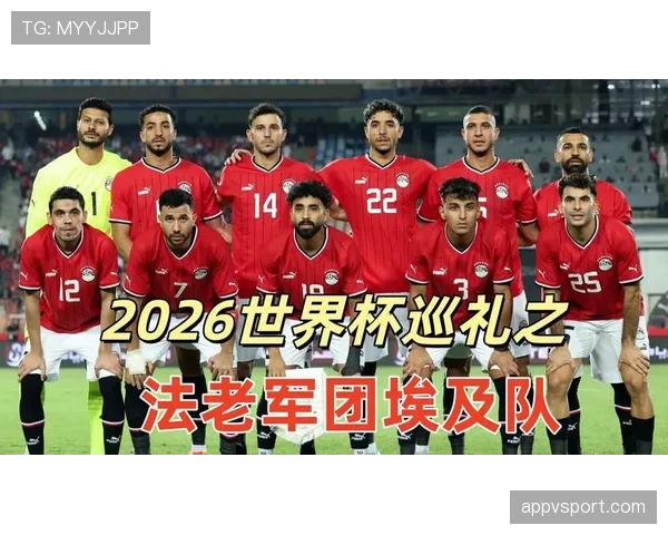 埃及队2026世界杯B组实力水平分析